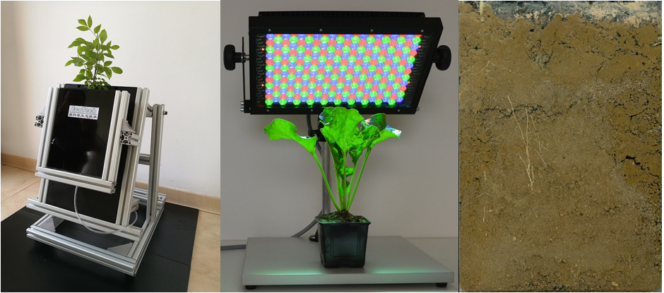 RhizoTron?高通量根系表型觀測系統