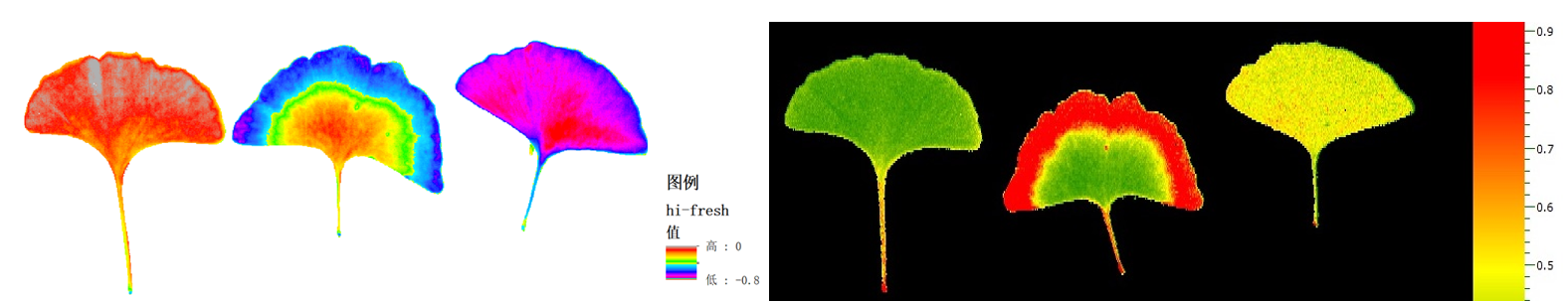 易科泰光譜成像技術——植物天然活性物質和次生代謝產物無損高光譜檢測方案